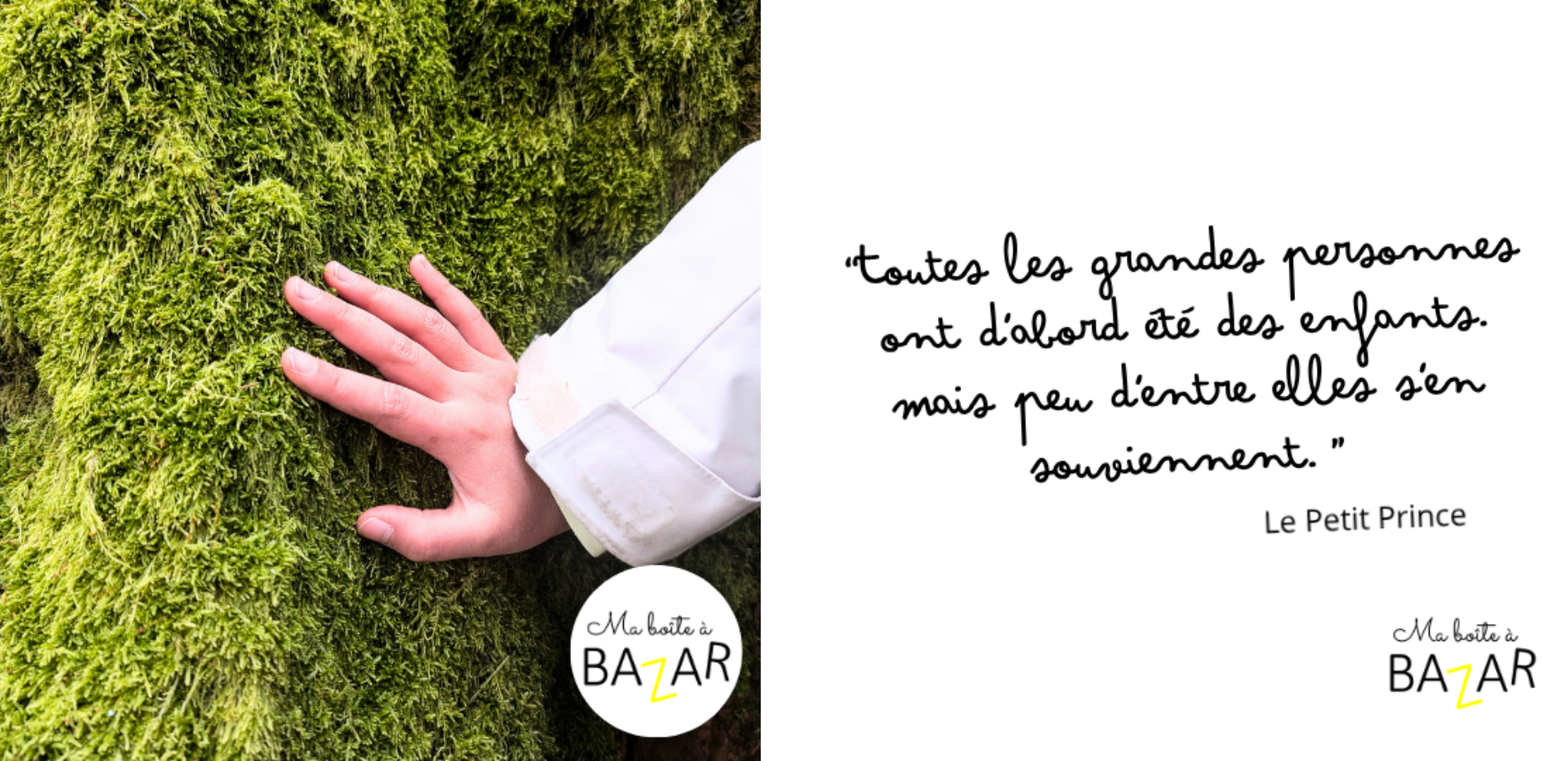 Pourquoi Le Petit Prince est-il une source d'inspiration pour l'éducation ?